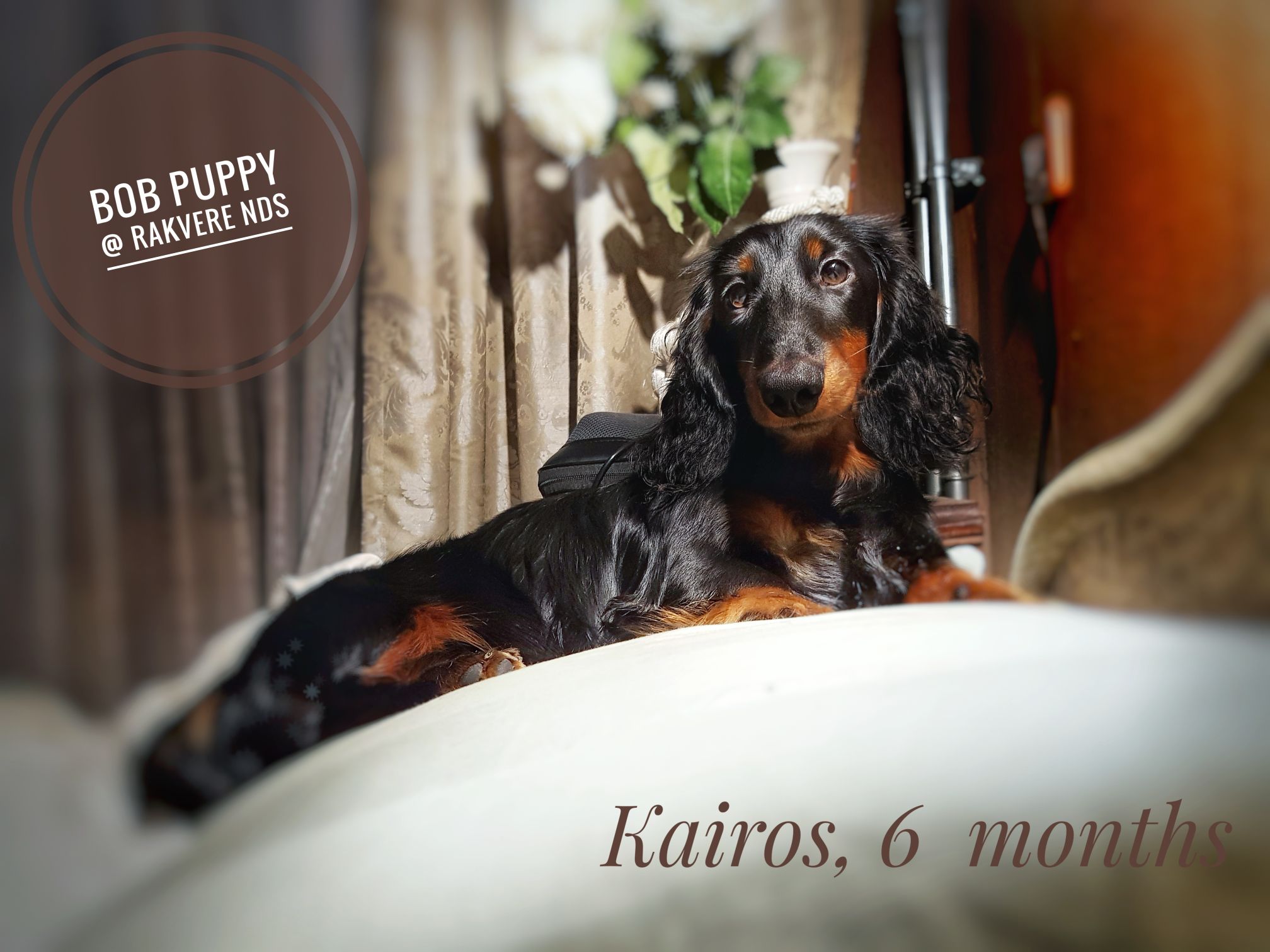 Kairos 6 months