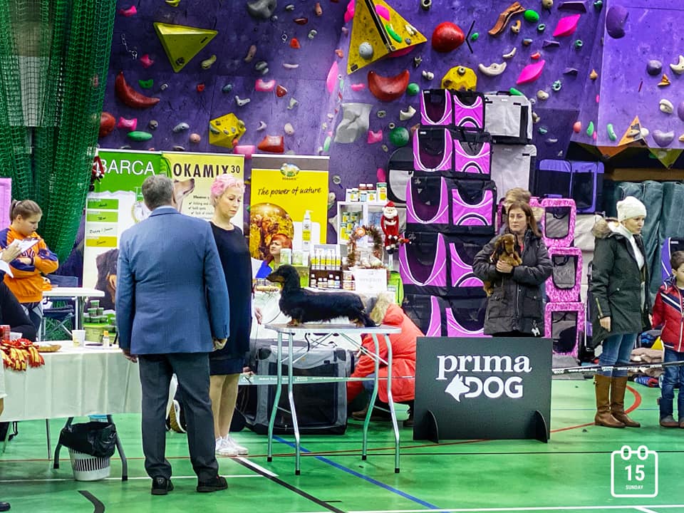 Kairos at Christmas show 2019