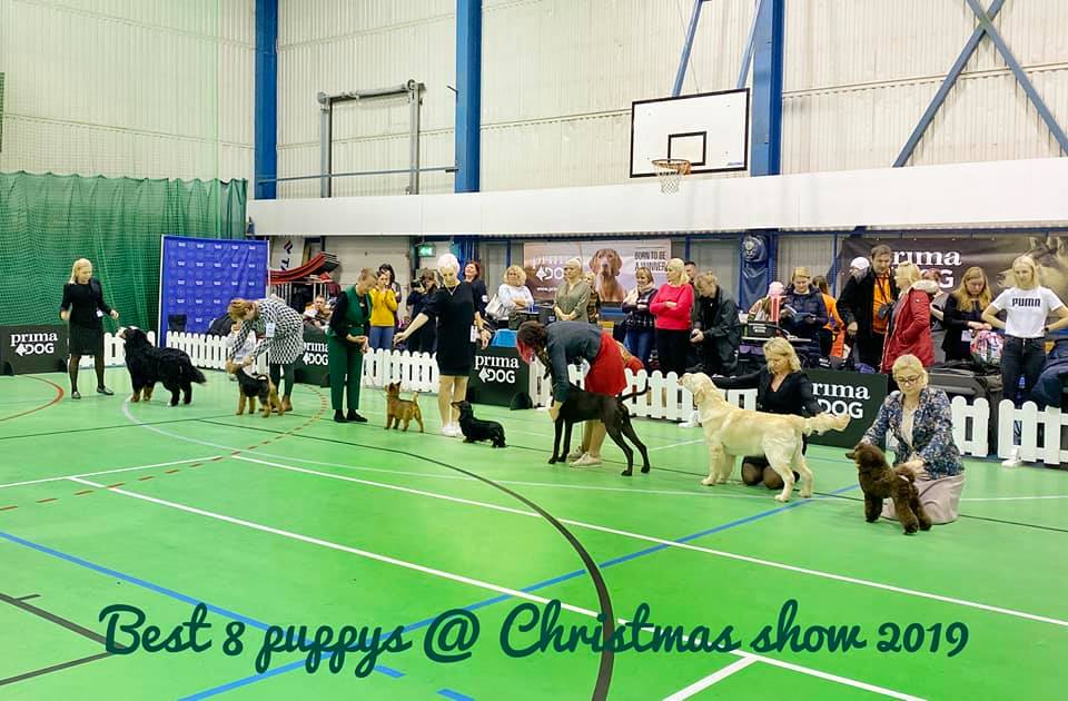Kairos at Christmas show 2019