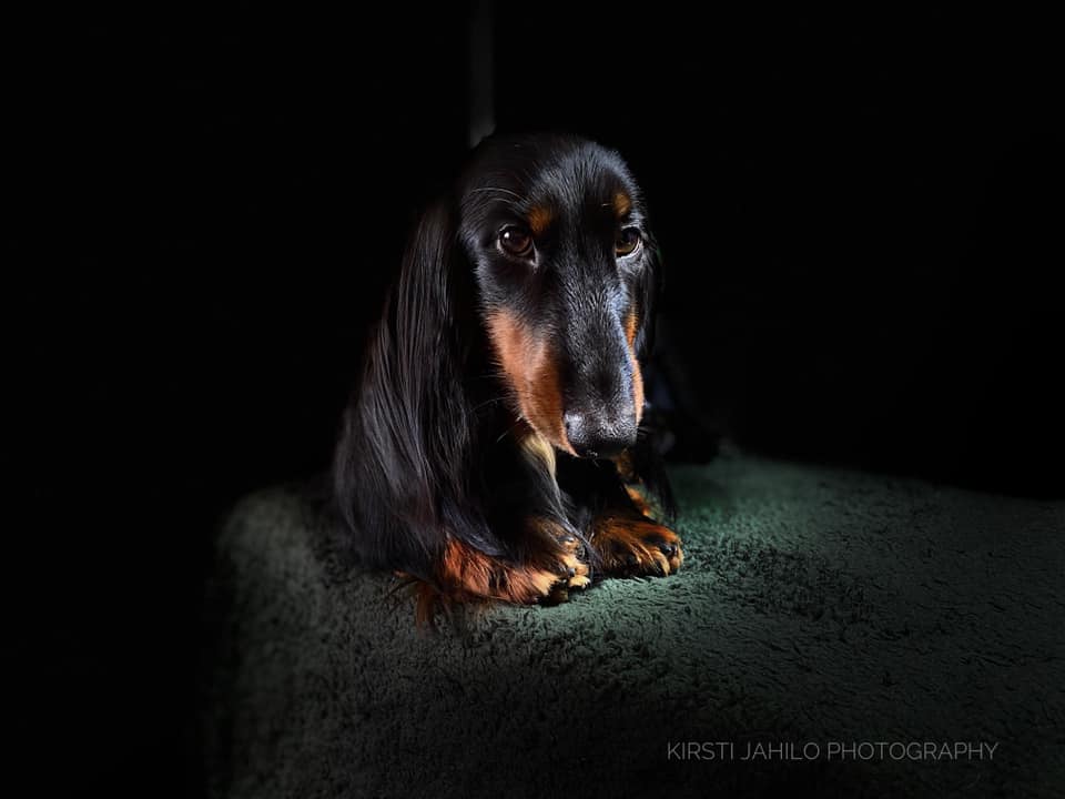 Kairos 11. months old