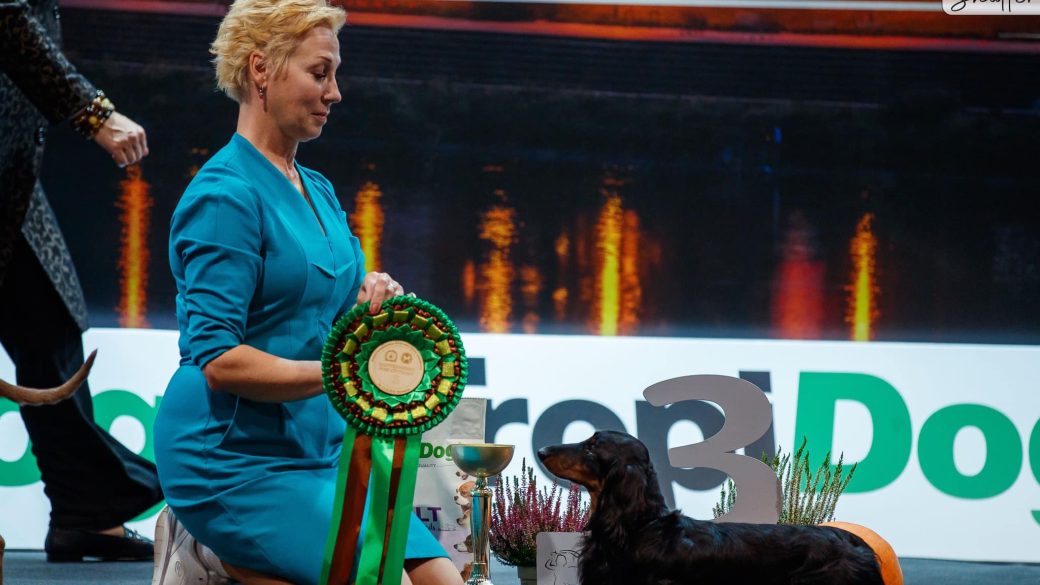 BEST IN SHOW 3 Working dog. WARSAW CACIB 16.10.2021