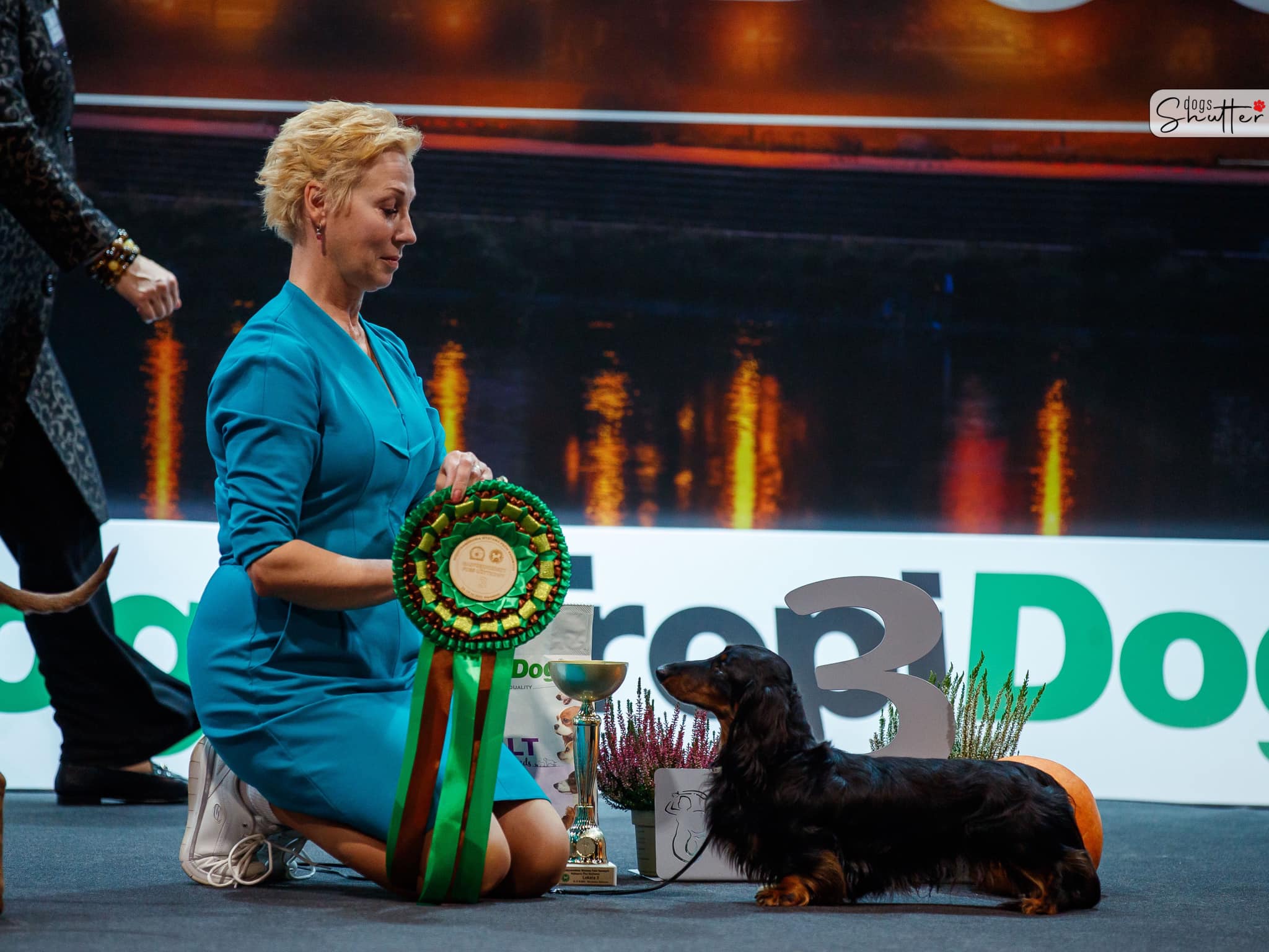 BEST IN SHOW 3 Working dog. WARSAW CACIB 16.10.2021