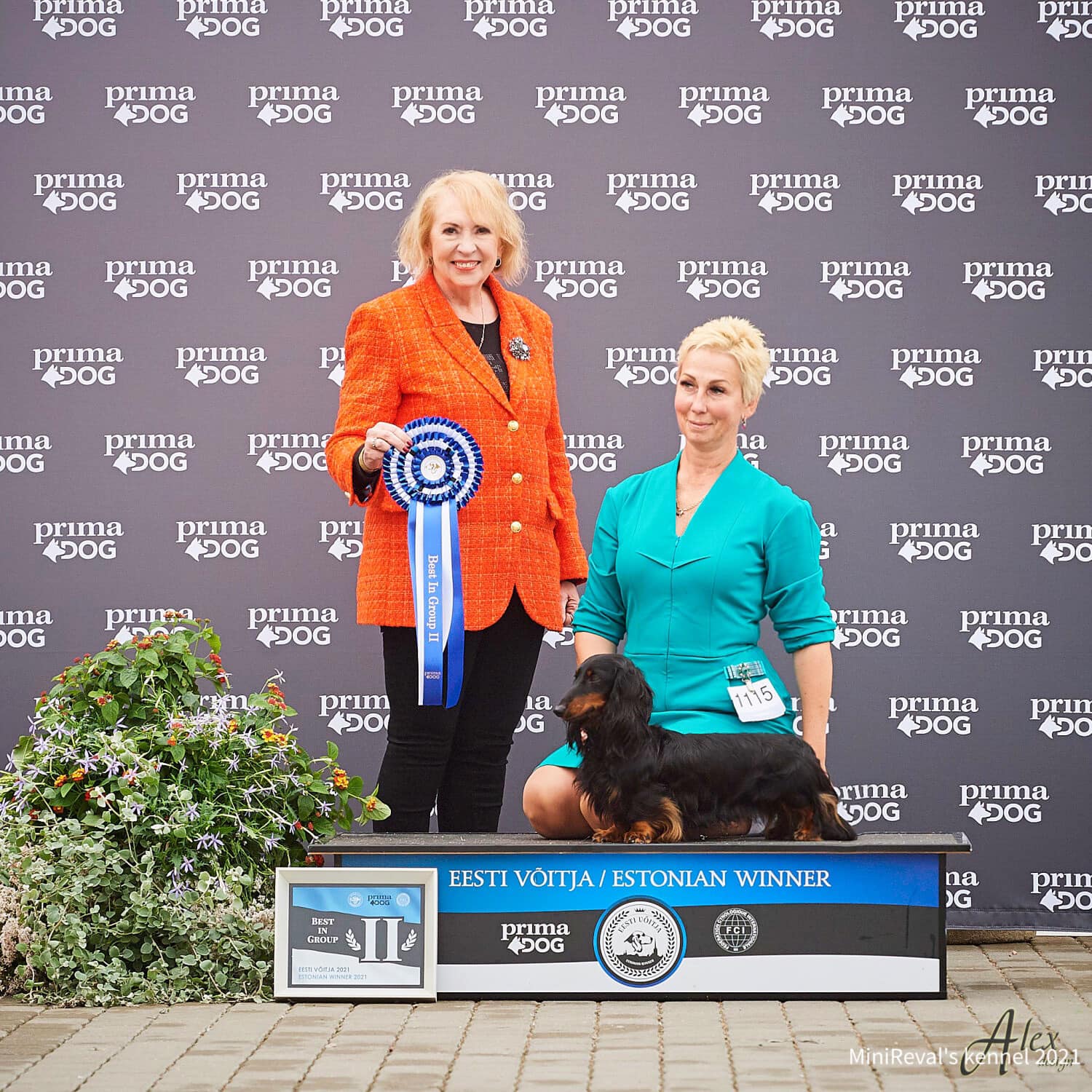 12.09.2021- ESTW21, BIG ll, BOB, CACIB, BM1, EX 1SQ title " ESTONIAN WINNER 21" judge: Vija Klucniece Latvija