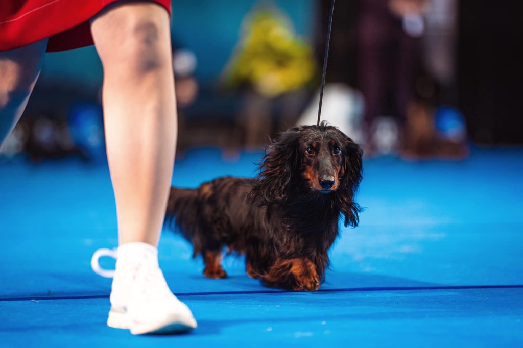 Kairos @tallinn winner