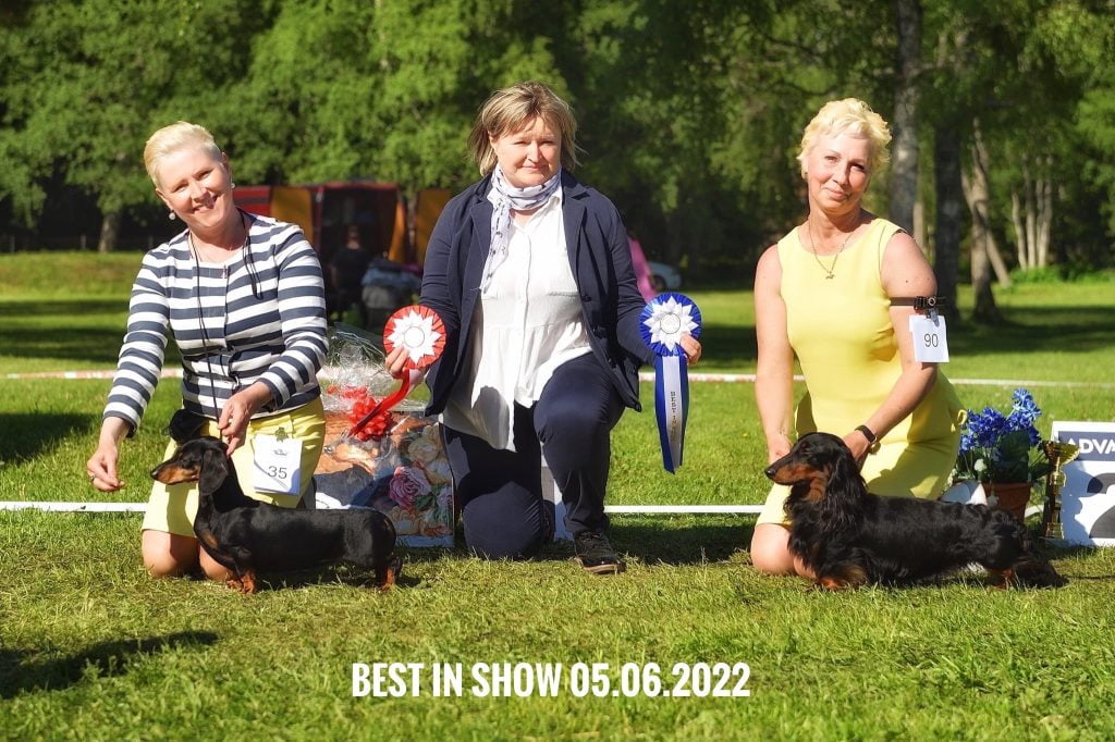 Dachshund Speciality 05.06.2022
