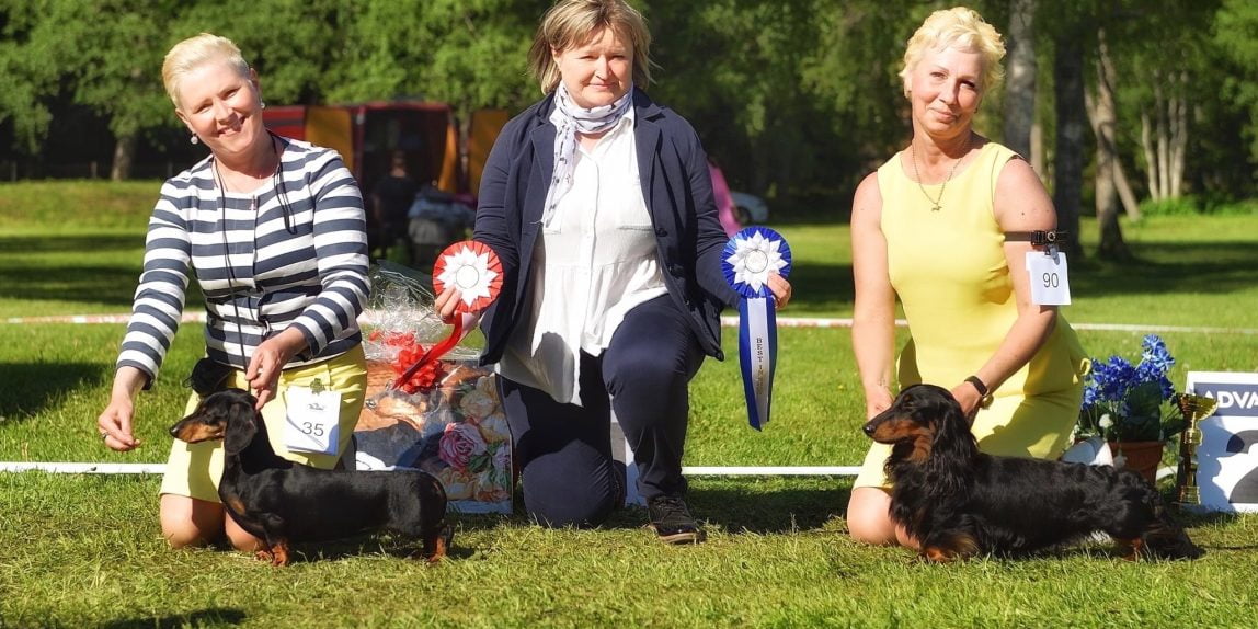 Dachshund Speciality 05.06.2022