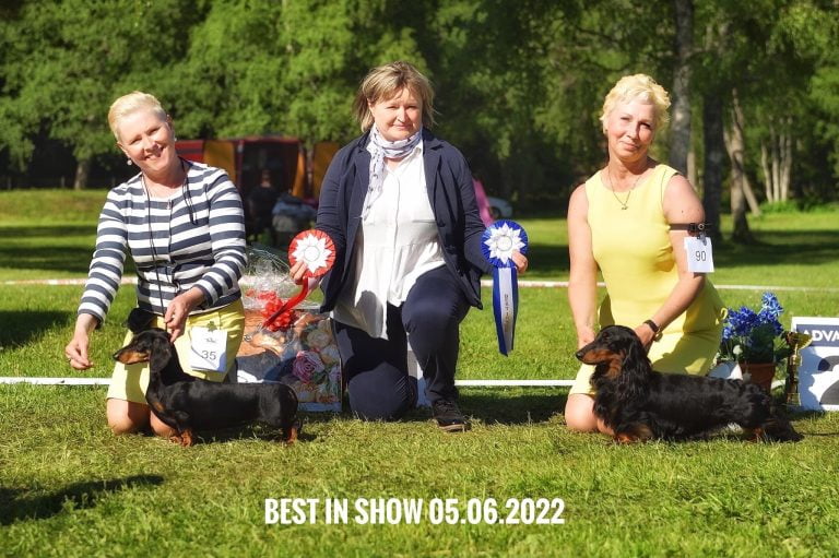 Dachshund Speciality 05.06.2022
