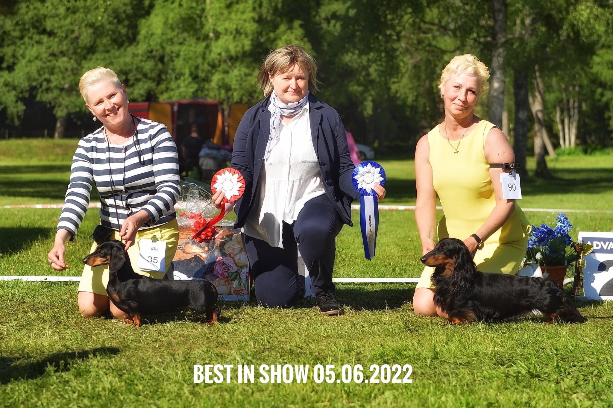 Dachshund Speciality 05.06.2022