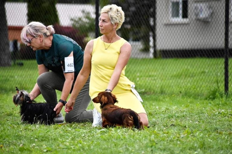 30/07/23 BIS 2 PUPPY LOU- MiniReval’s Sirius ICE !