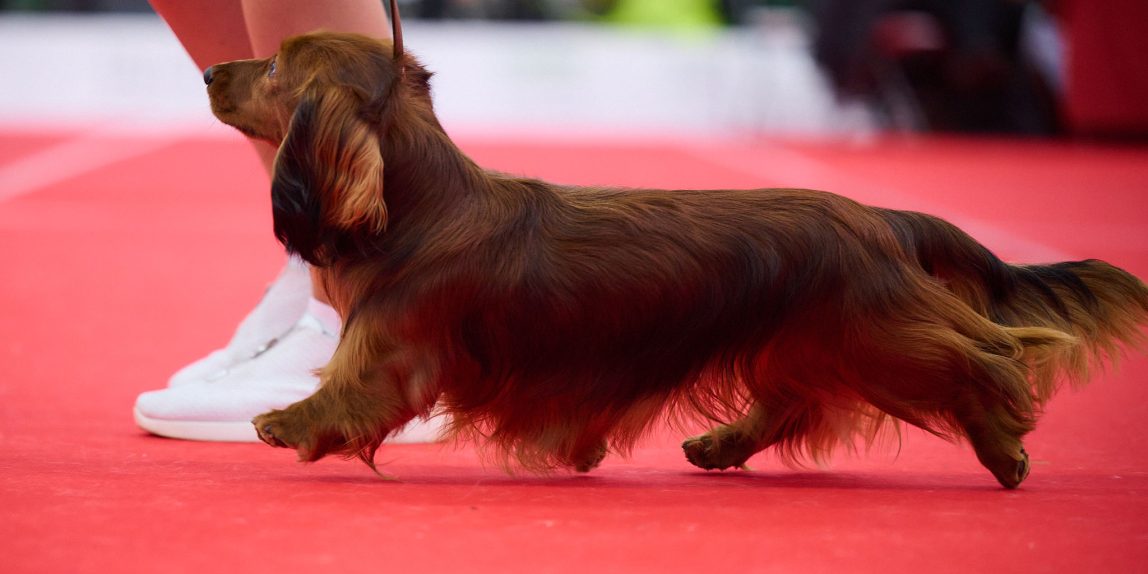 LOU KAUNASWINNER 27.01.2024