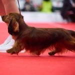 LOU KAUNASWINNER 27.01.2024