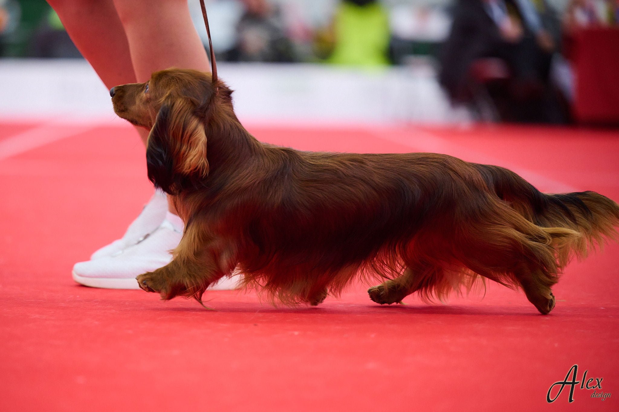 LOU KAUNASWINNER 27.01.2024