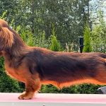 MiniReval’s Lummus Spice