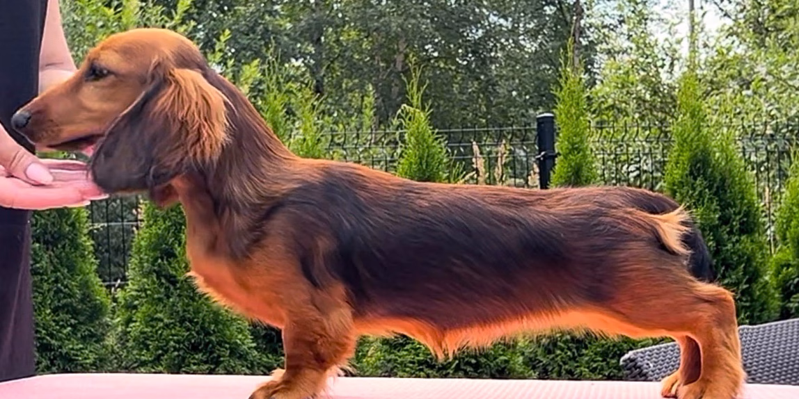 MiniReval’s Lummus Spice