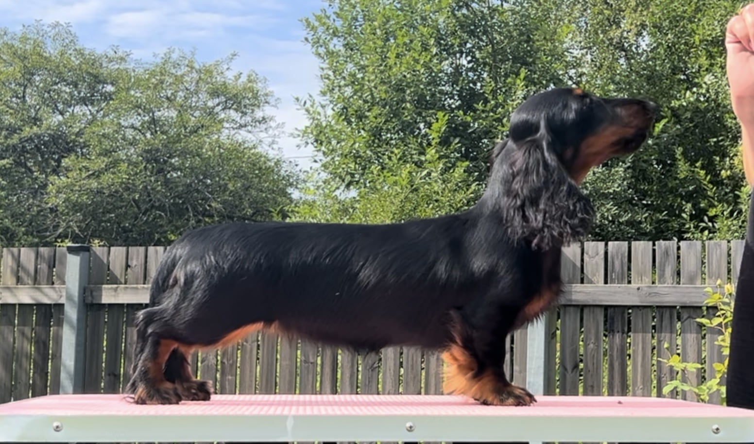 MiniReval’s Cumani Spice