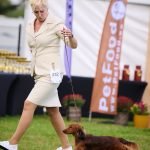 MiniReval’s Sirius ICE