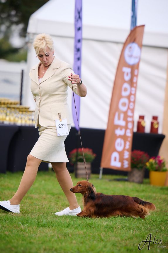 MiniReval’s Sirius ICE