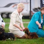 MiniReval’s Sirius ICE 14.09.24