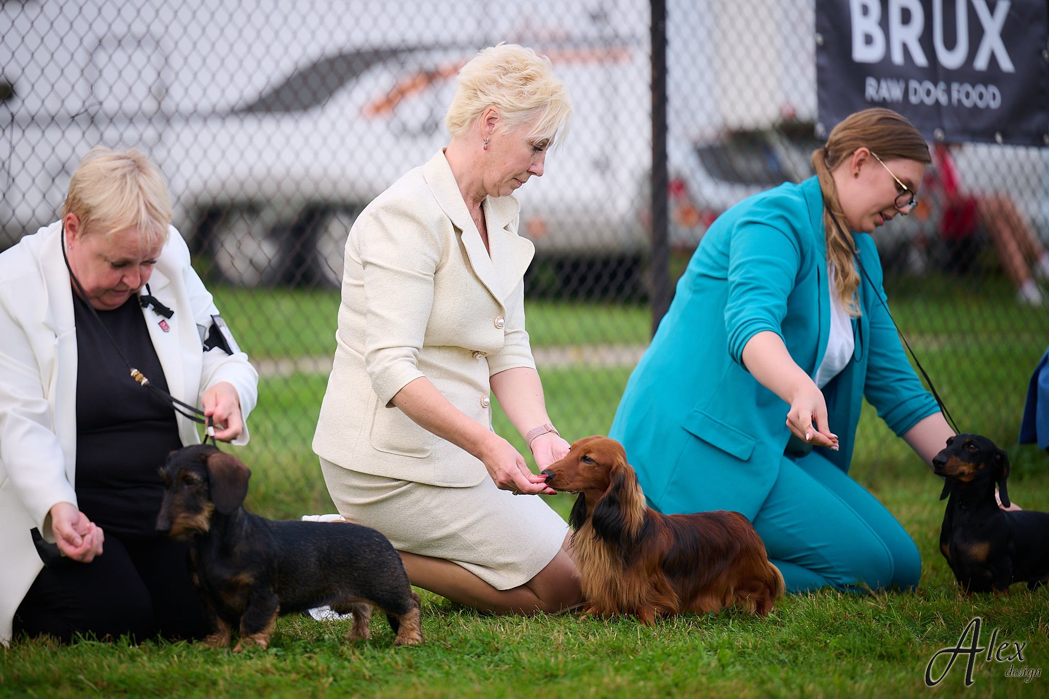 MiniReval’s Sirius ICE 14.09.24