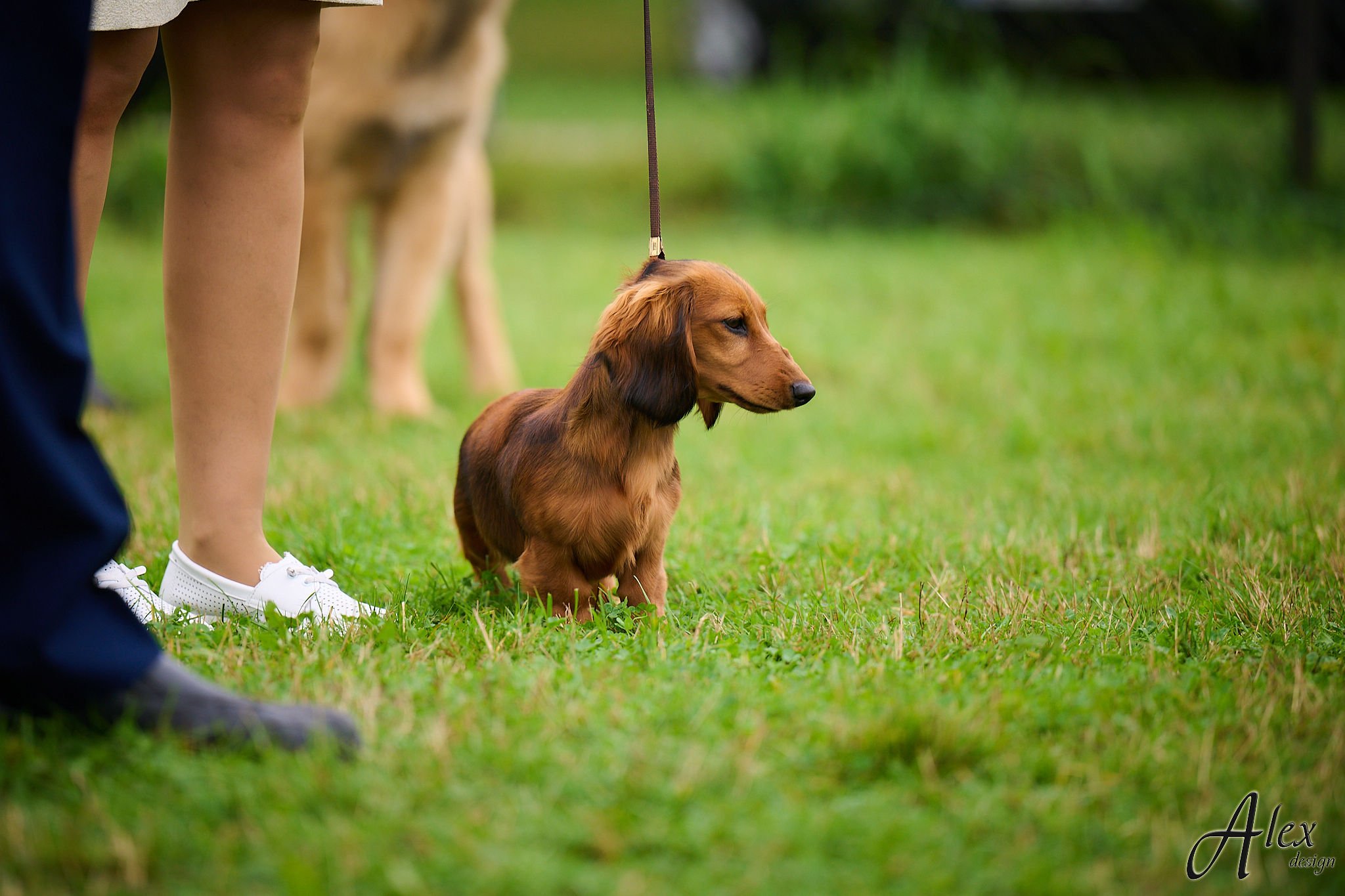 MiniReval’s Lummus SPICE 15.09.24