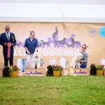 15.05.24 luige cacib