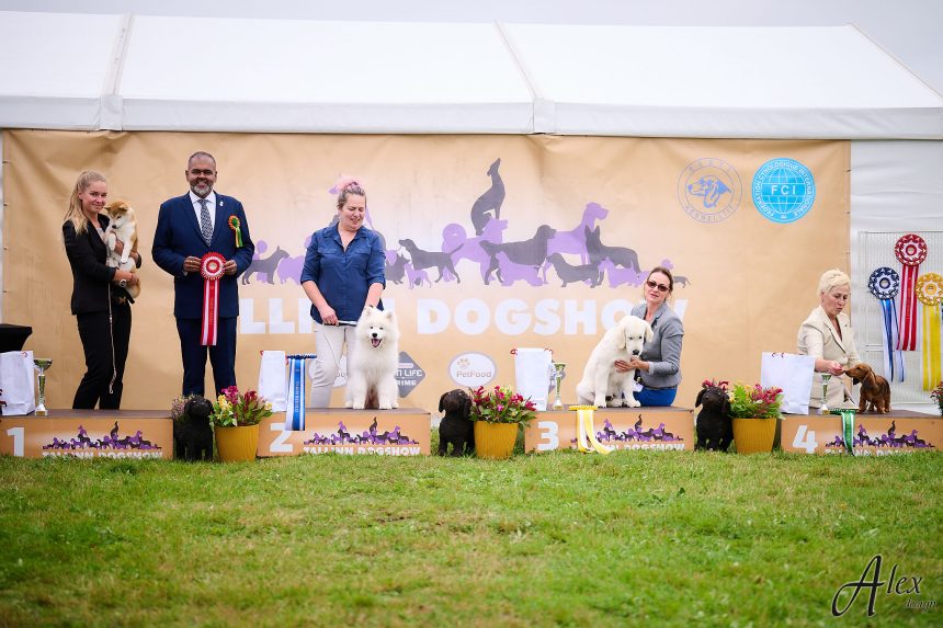 15.05.24 luige cacib