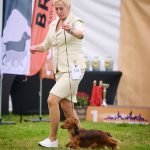 MiniReval’s Sirius ICE 15.09.24