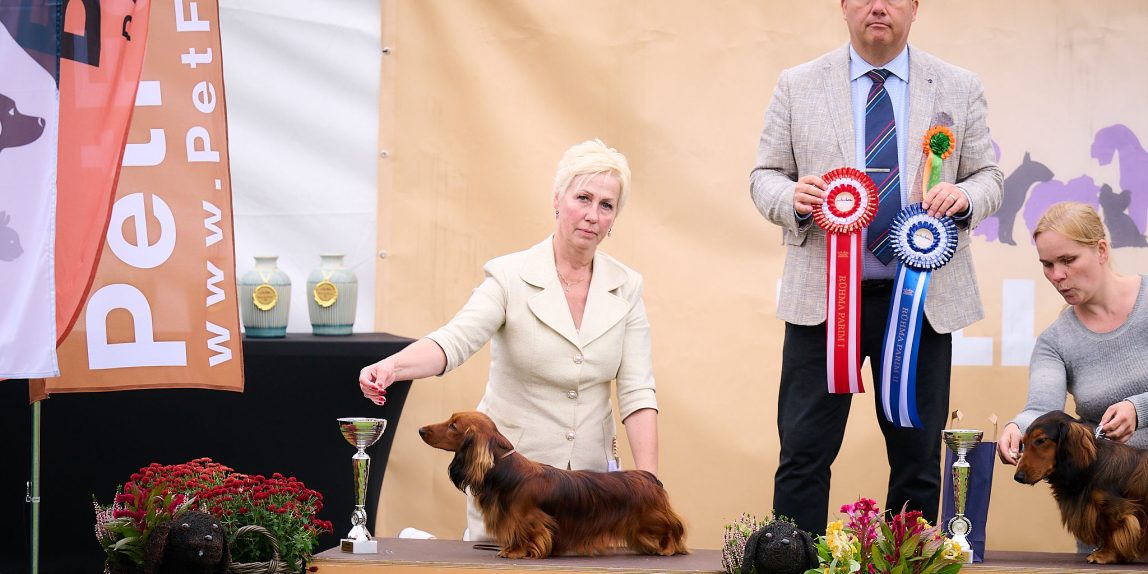 MiniReval’s Sirius ICE 15.09.24