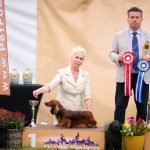 MiniReval’s Sirius ICE 15.09.24