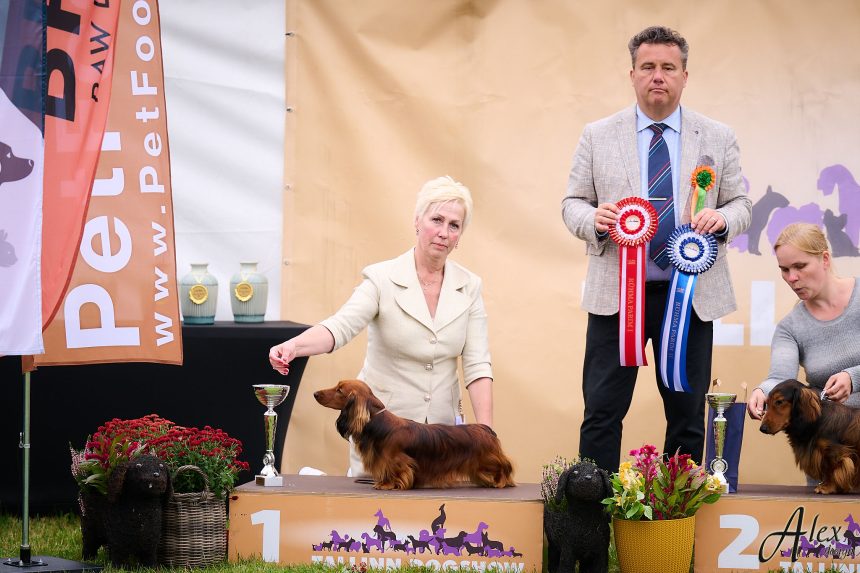 MiniReval’s Sirius ICE 15.09.24