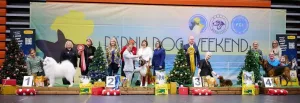 BIS Pärnu 3 jan 26