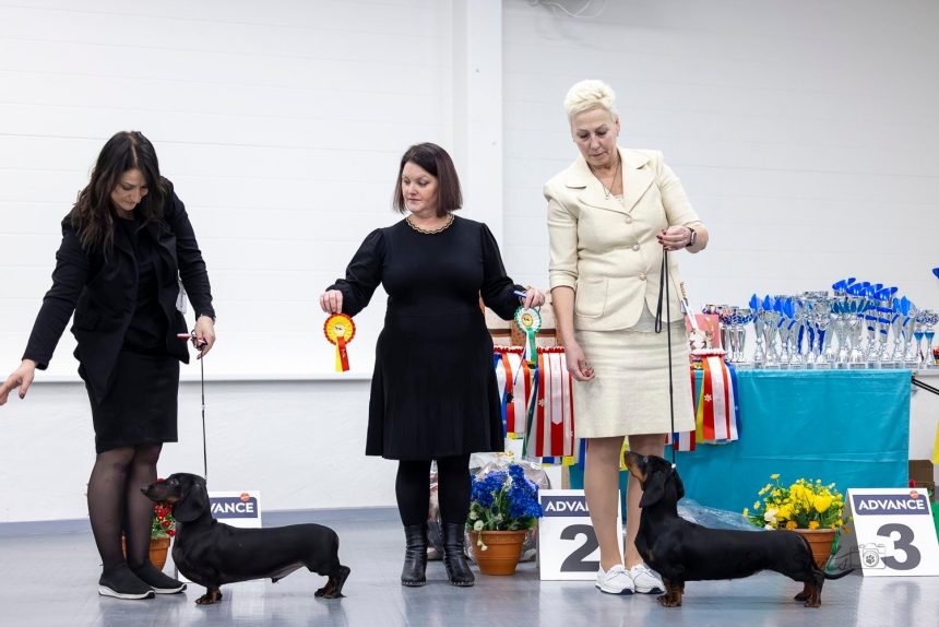 MIO at speciality and TLNW-Cup