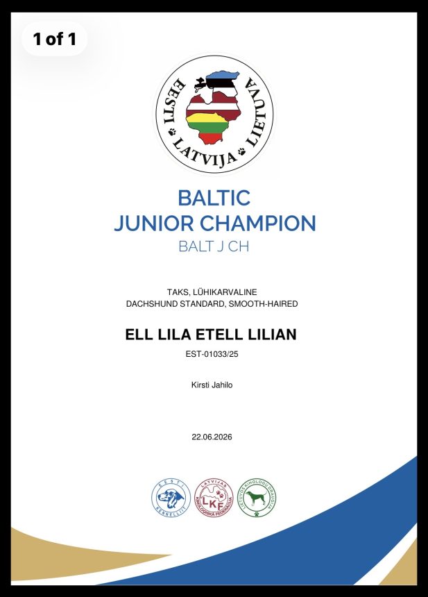 MIO  Baltic JChampion