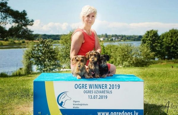 Ogre Winner 2019